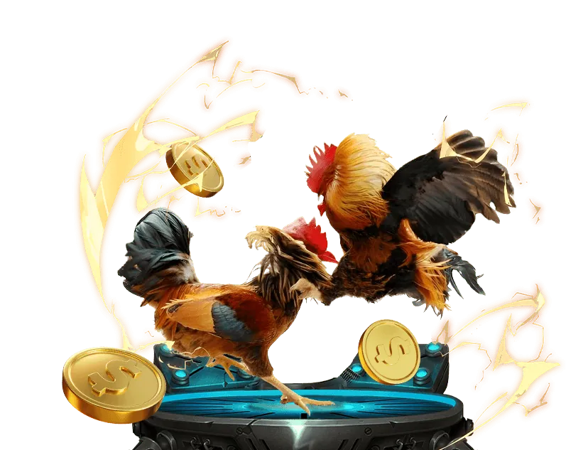 Quản lý tài khoản cá nhân zb368 VIP